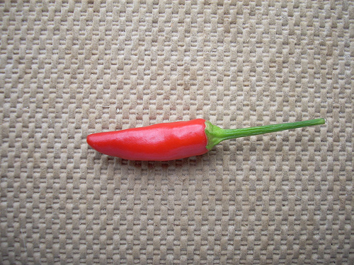 Chili Pepper Chili Pepper